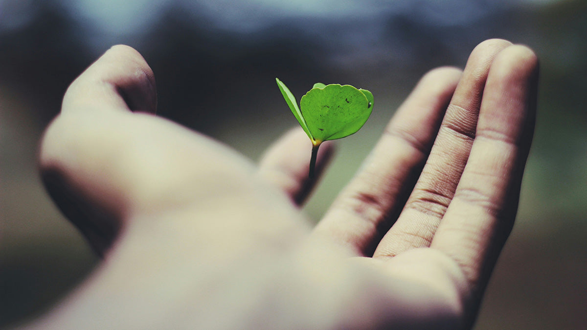 Money: A Survival Tool, or a Path to Soul Growth?